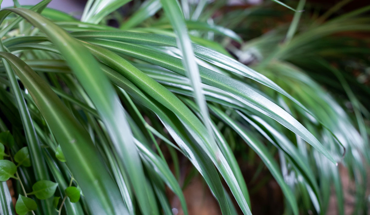 Datenschutz ist Menschenrecht